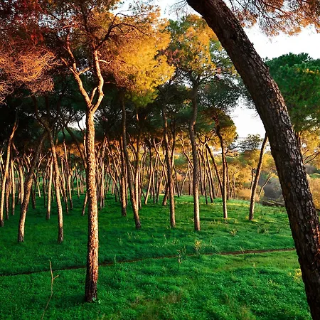 Oromana 3* Alcala de Guadaira