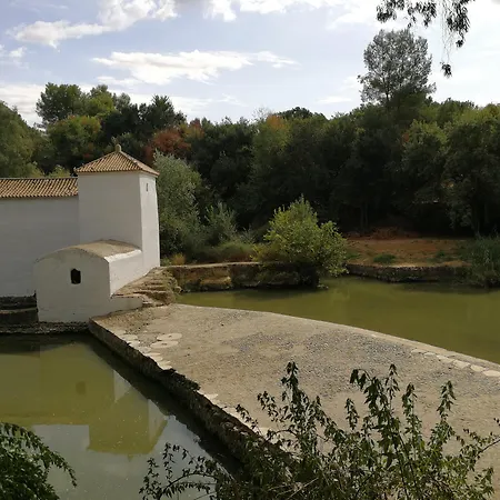 Oromana 3*