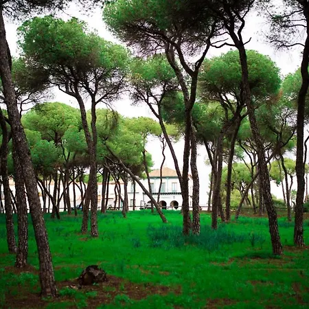 Oromana 3*